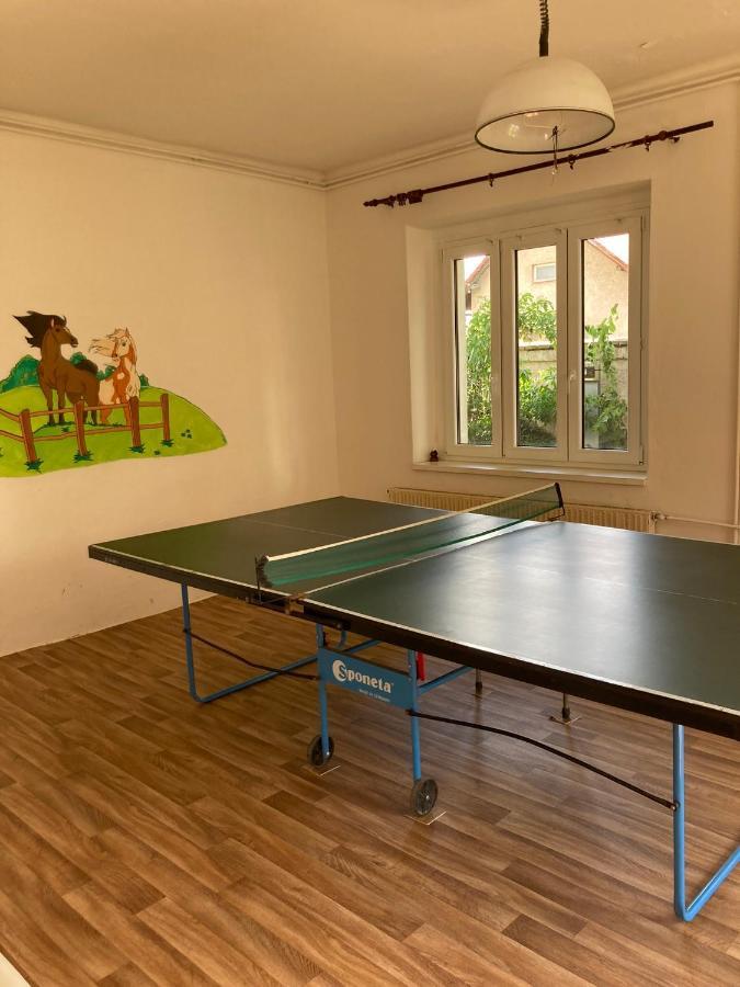 Prijemny Apartman Se Zahradou Ostresany Экстерьер фото
